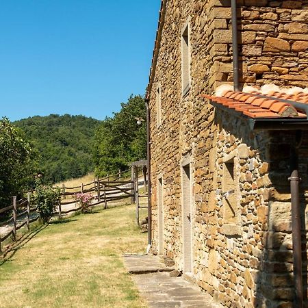 Agriturismo Con Piscina In Toscana, Tribbiano 아레초 외부 사진