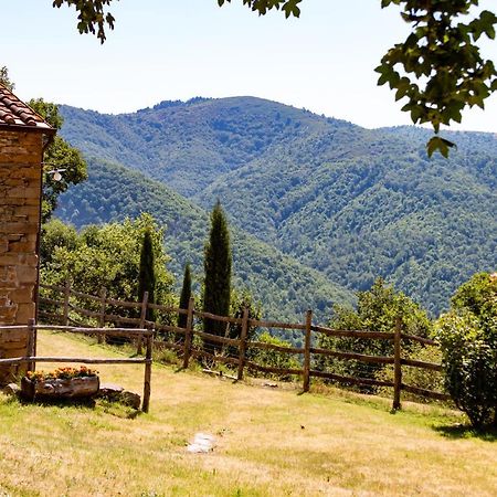 Agriturismo Con Piscina In Toscana, Tribbiano 아레초 외부 사진