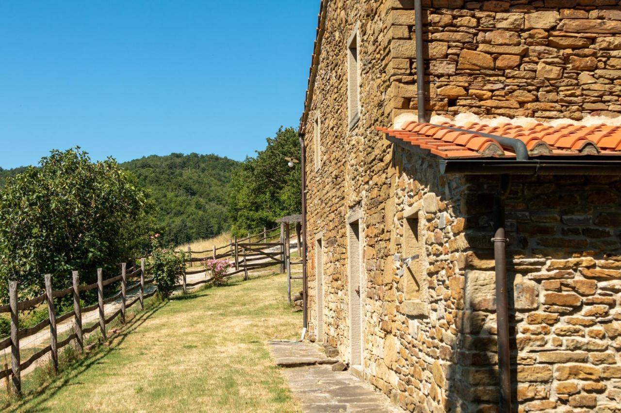 Agriturismo Con Piscina In Toscana, Tribbiano 아레초 외부 사진