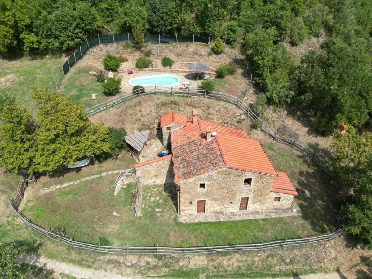 Agriturismo Con Piscina In Toscana, Tribbiano 아레초 외부 사진