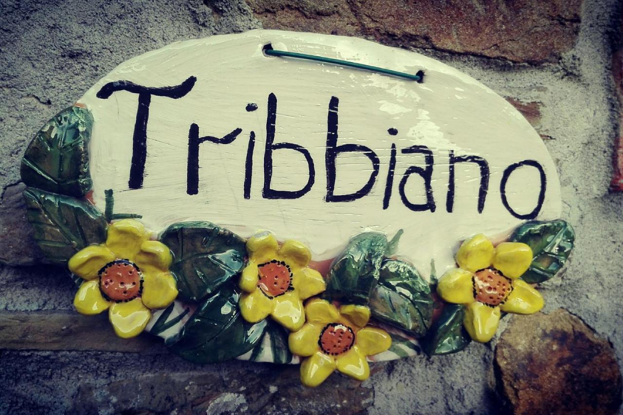 Agriturismo Con Piscina In Toscana, Tribbiano 아레초 외부 사진